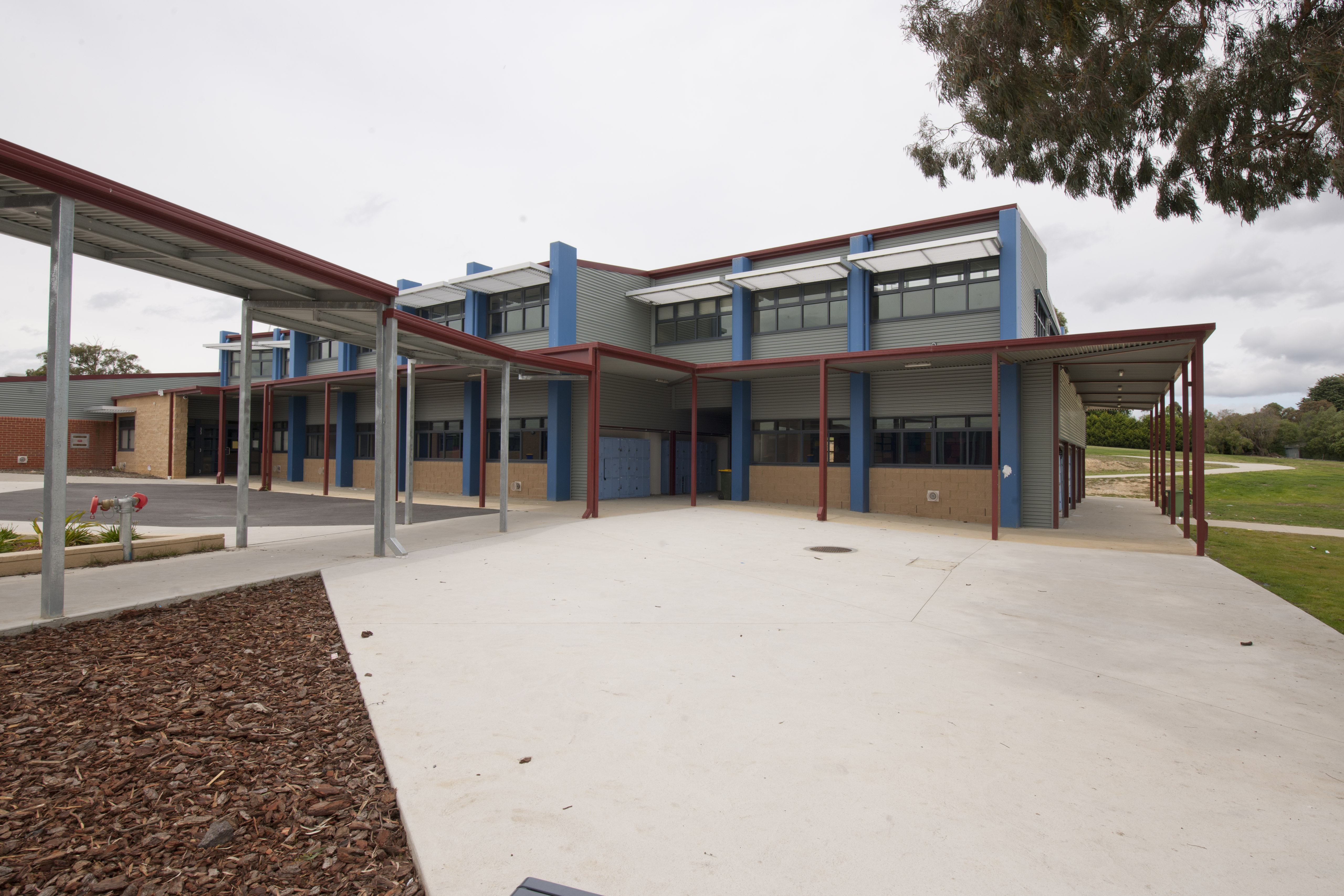 School media preview